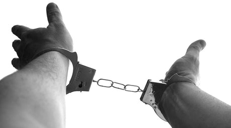 You Are Free To Do As You're Told - Libertarian Country