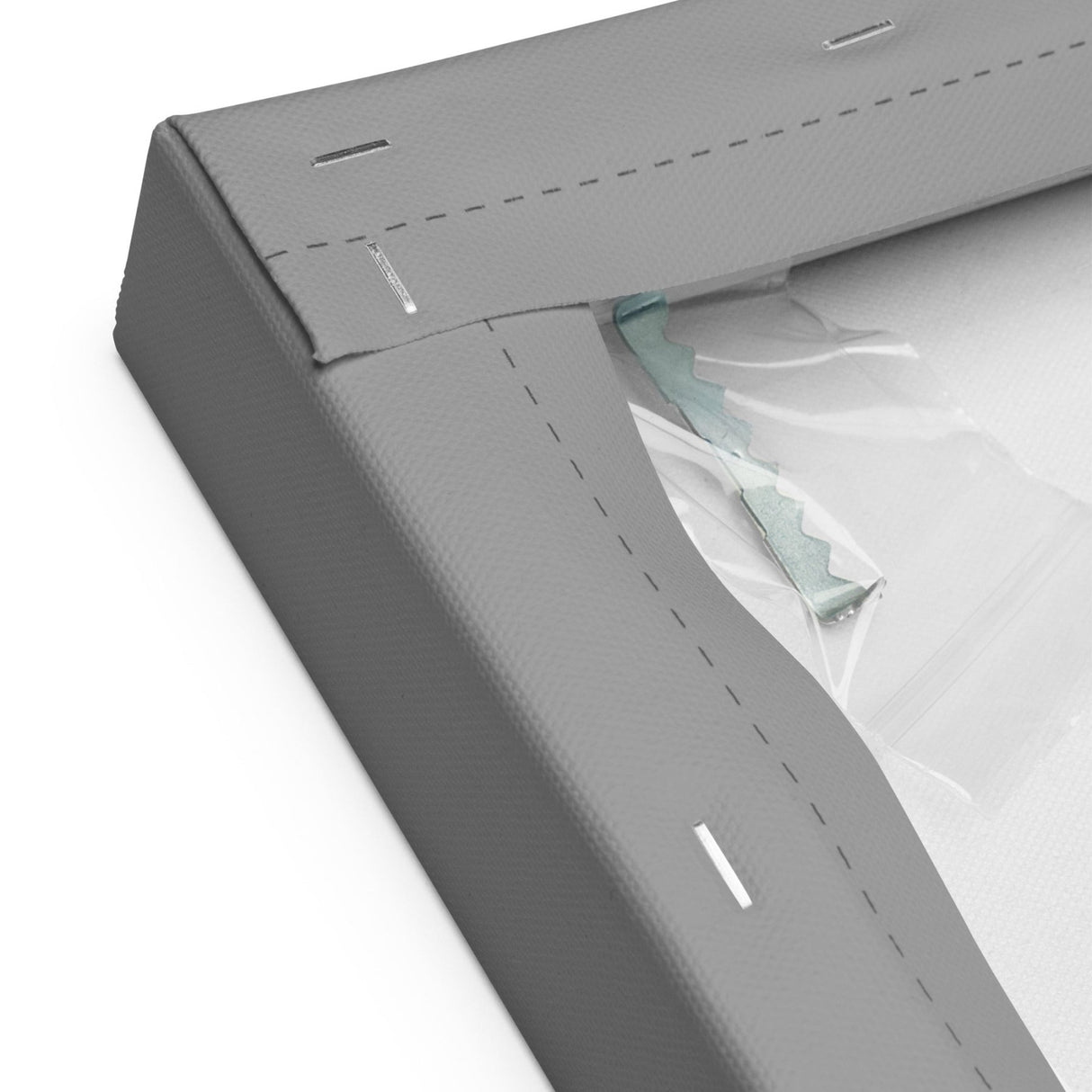 An Armed Society is a Polite Society Canvas Print