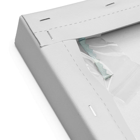 Don't Worry You Can Trust Your Government Canvas Print