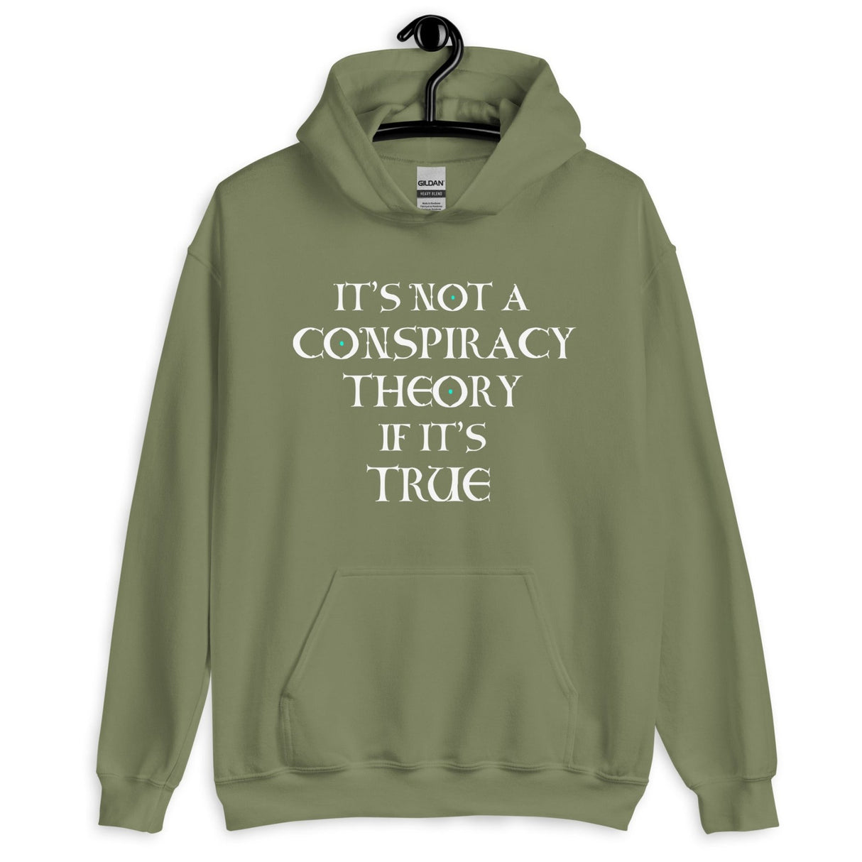 It's Not a Conspiracy Theory If It's True Hoodie