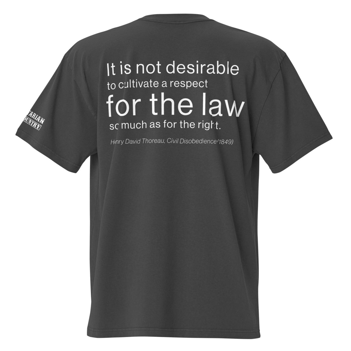 LAWLESS NOT IMMORAL // HDT Oversized Tee