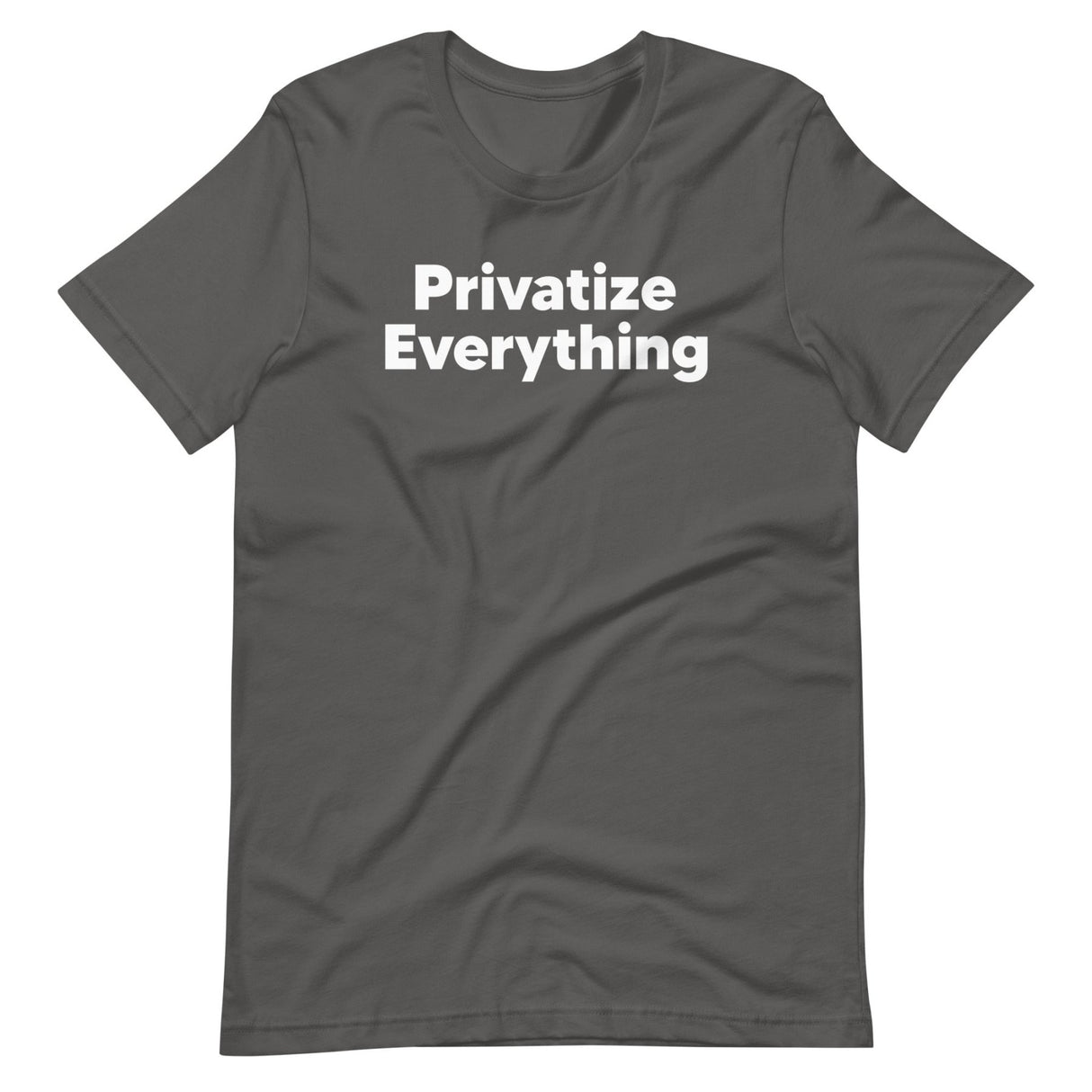 Privatize Everything Shirt