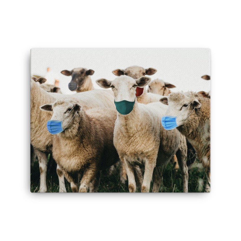 Sheep in Face Masks Canvas Print