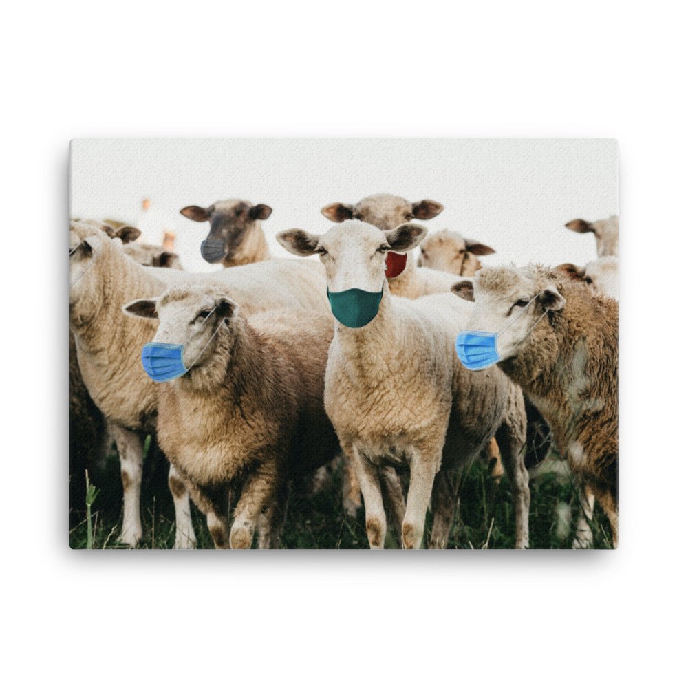 Sheep in Face Masks Canvas Print