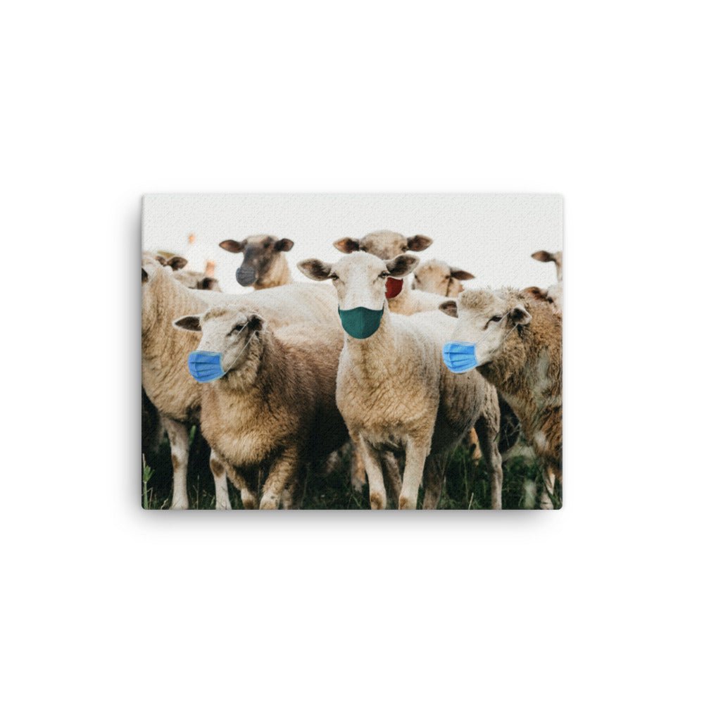 Sheep in Face Masks Canvas Print