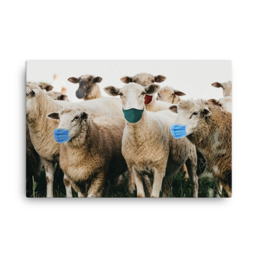 Sheep in Face Masks Canvas Print