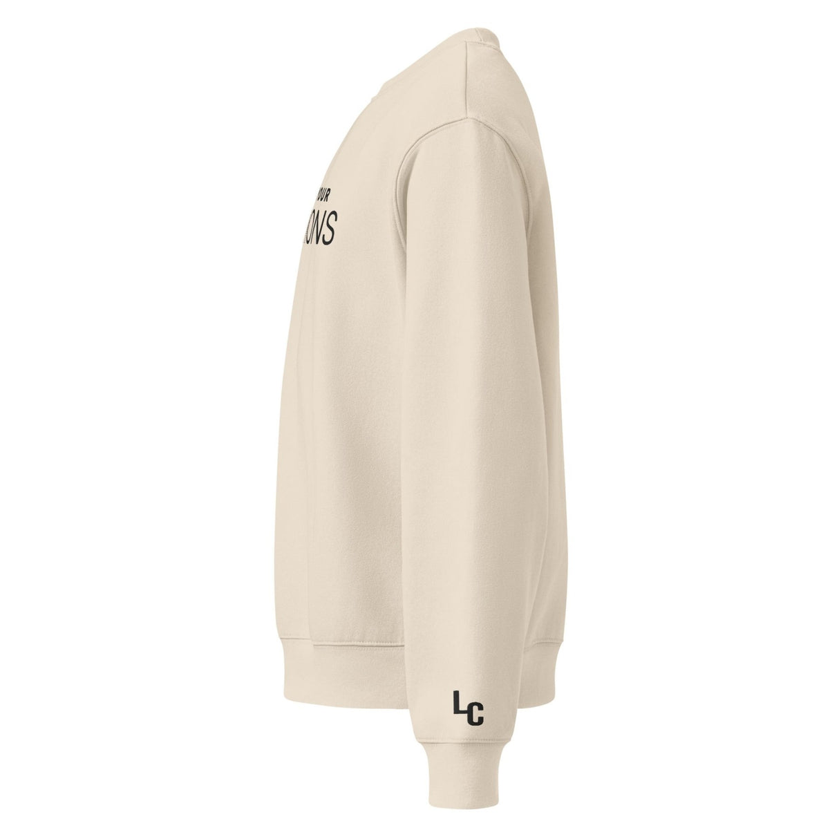 They Fear Your Questions Oversized Heavyweight Embroidered Sweatshirt