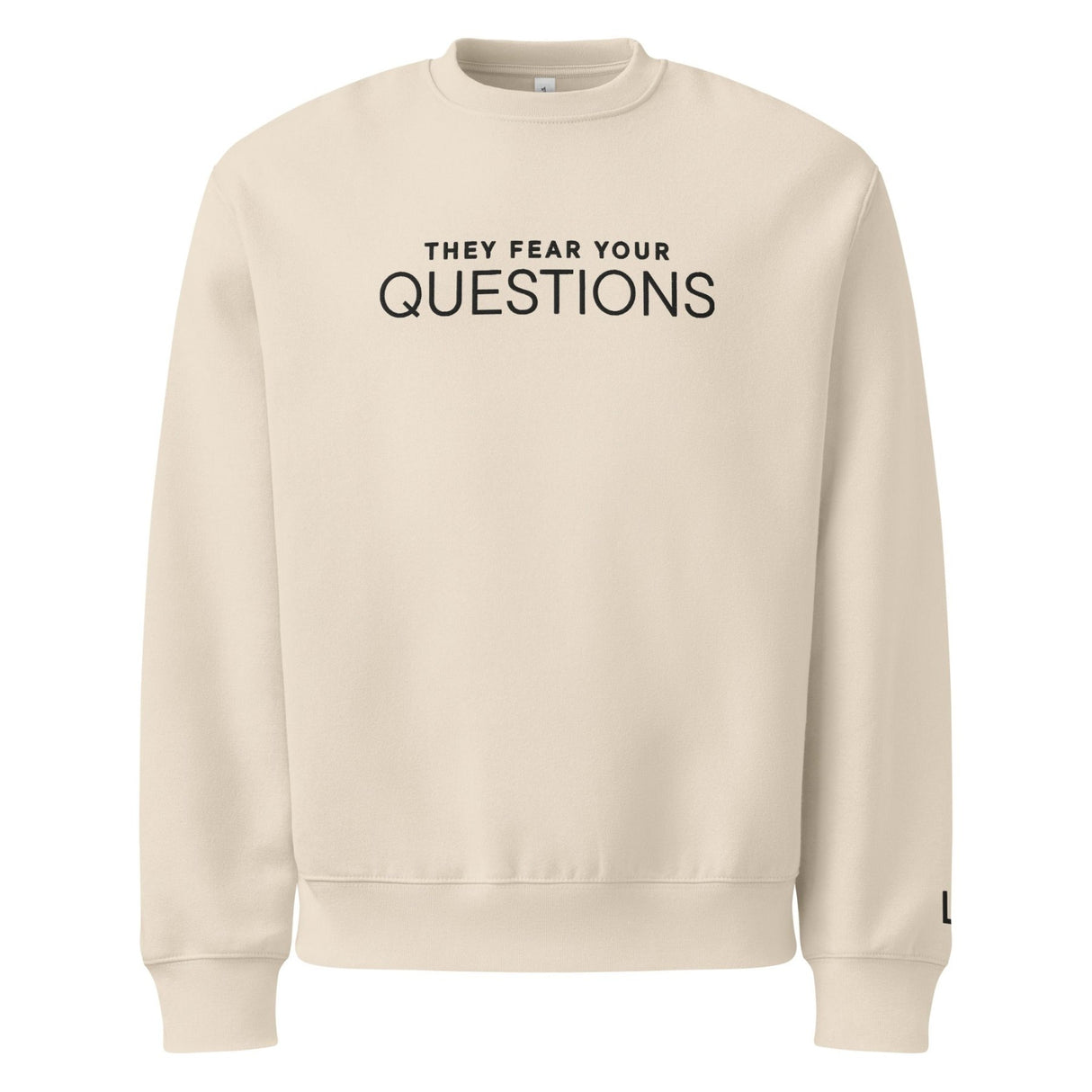 They Fear Your Questions Oversized Heavyweight Embroidered Sweatshirt