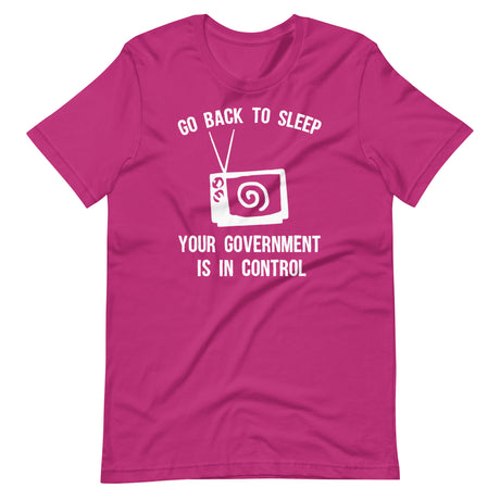 Go Back To Sleep Your Government Is In Control Shirt