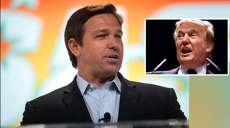 Trump Fans Going All In For DeSantis
