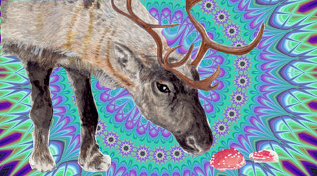 Psychedelic Drugs and the Flying Reindeer