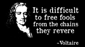 26 Voltaire Quotes Everyone Should Read Today