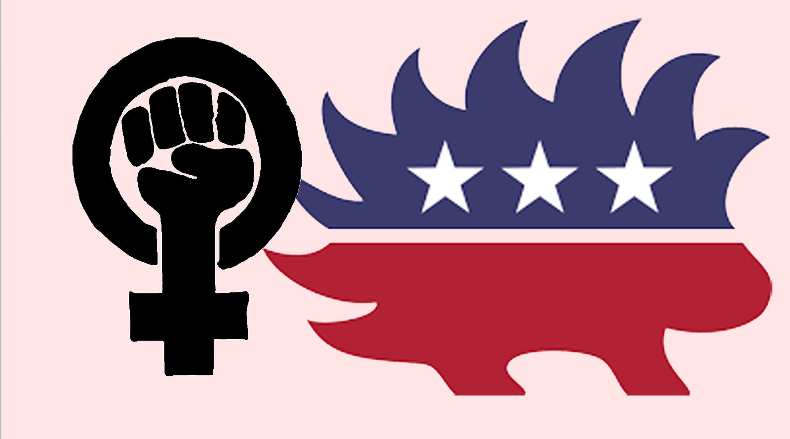 What is Libertarian Feminism?
