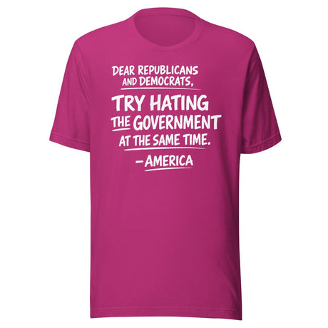 Hate The Government At The Same Time Shirt