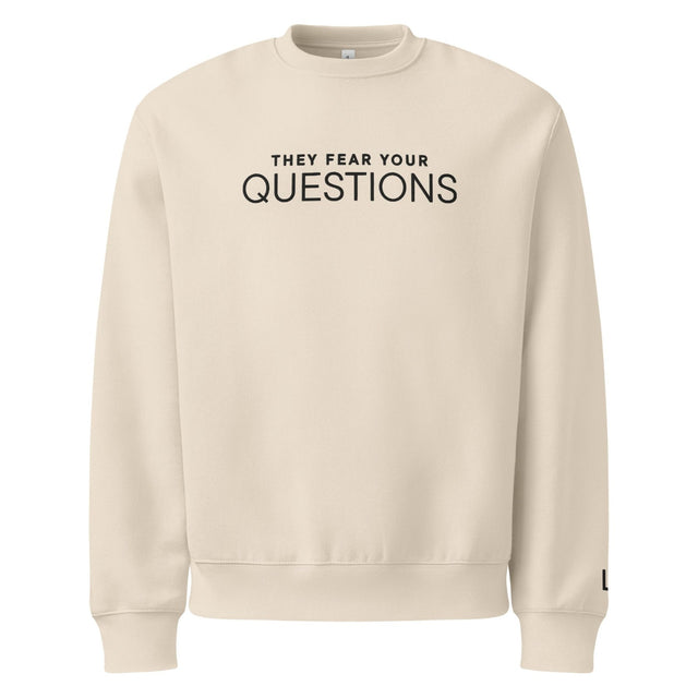 They Fear Your Questions Oversized Heavyweight Embroidered Sweatshirt