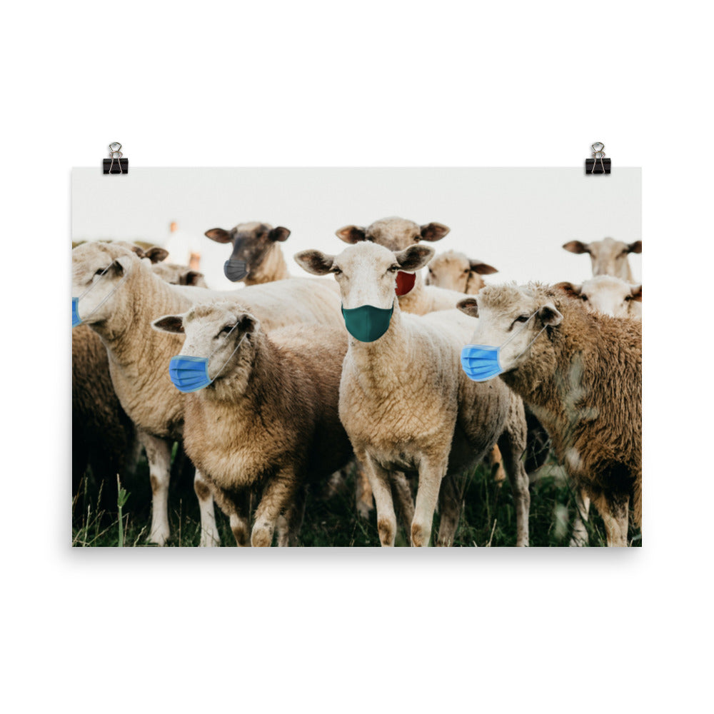 Sheep in Face Masks Poster by Libertarian Country