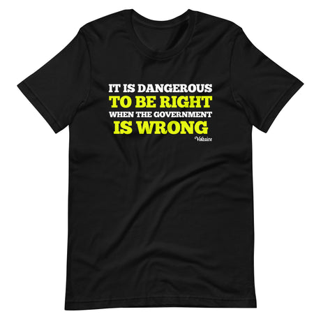It Is Dangerous To Be Right When The Government is Wrong Premium Shirt