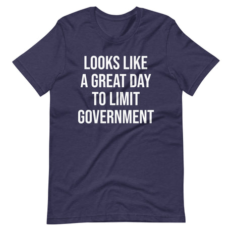 Looks Like a Great Day to Limit Government Shirt - Libertarian Country